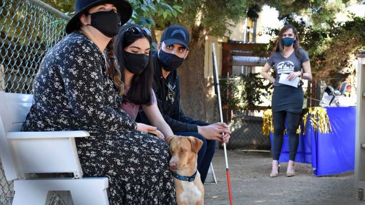 Cane Louis Cieco Famiglia