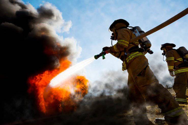 senzatetto salva gattini cagnolini incendio