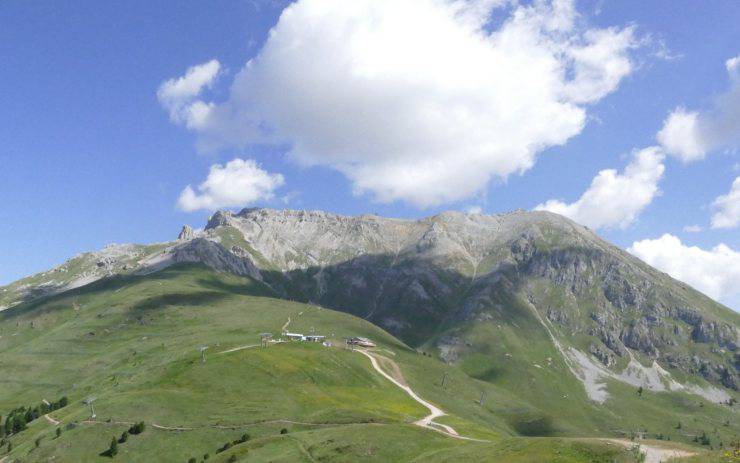 coccodrilli Alpi 250 milioni 