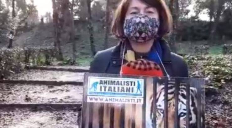 animalisti protestano bioparco Roma