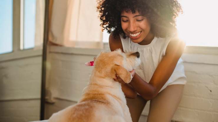 avere un cane rende felici 