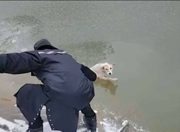 Catena umana per salvare il cane nel lago ghiacciato