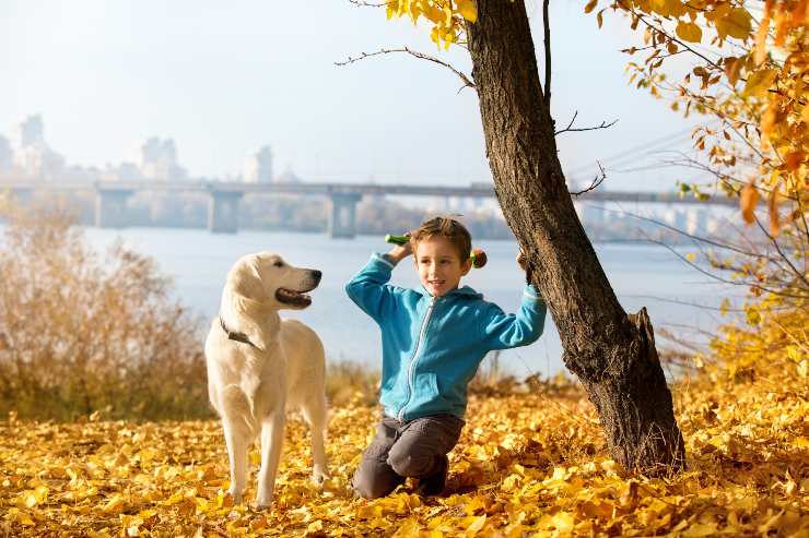 razze di cani da riporto