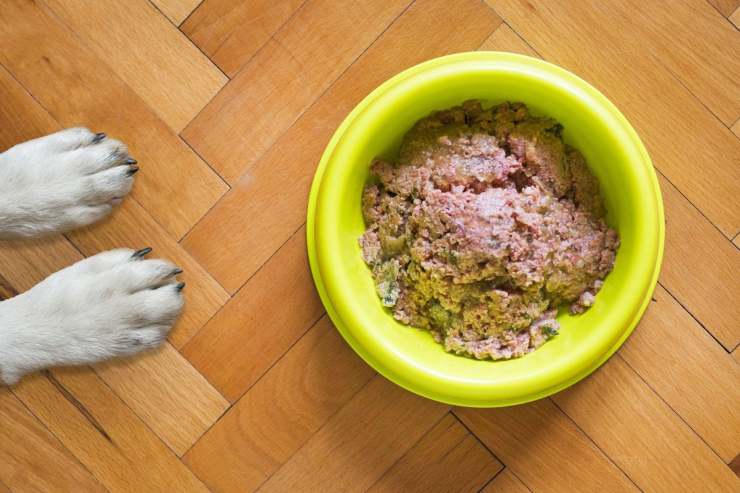 Leggere le etichette del cibo per cani