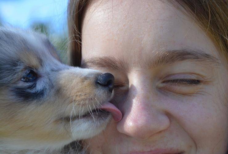 Il cane e i suoi baci