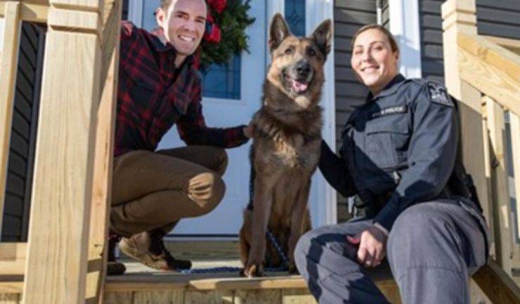 cane segregato sgabuzzino aiuto