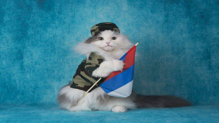 Razze di gatti russi