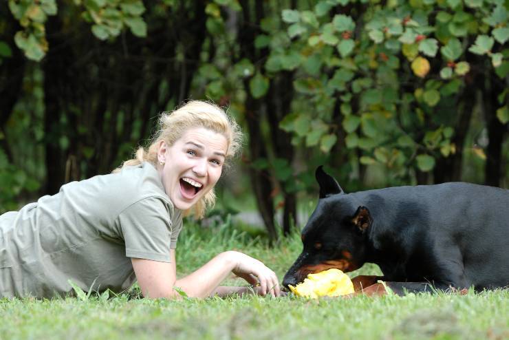 Cosa dare da mangiare al Dobermann