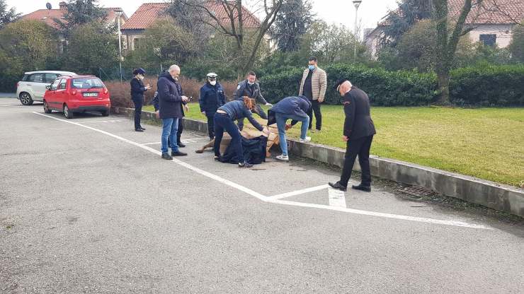 Cervo Cade Canale Naviglio Comune Milano