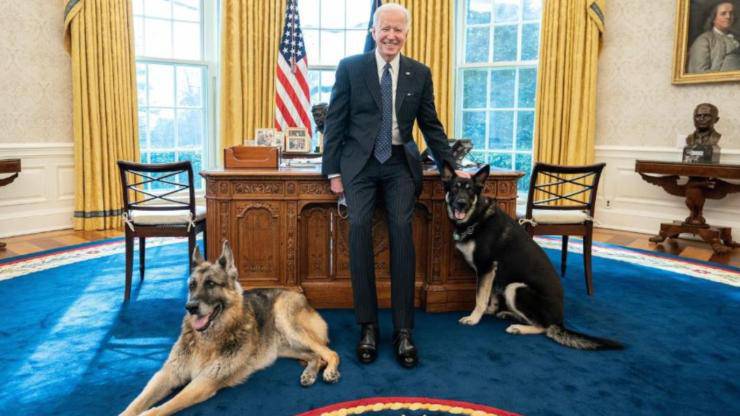 Bureau ovale Joe Biden Major Dogs Champ