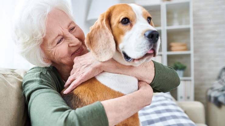 cani che aiutano a combattere la solitudine 