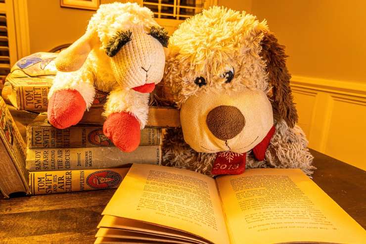 Peluche e libro