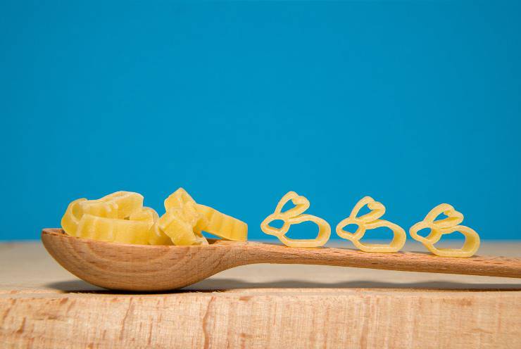 coniglio può mangiare la pasta