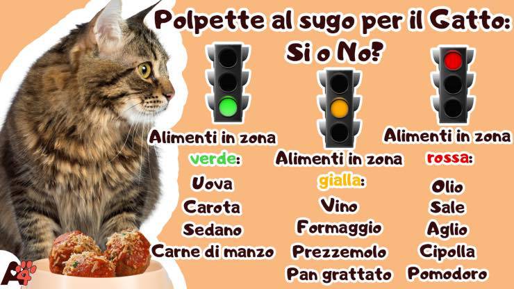 Polpette al sugo per il gatto