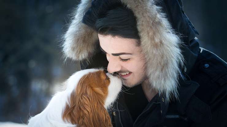 padrone e Cavalier king