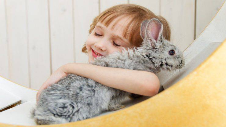 Al coniglio non piacciono i bambini