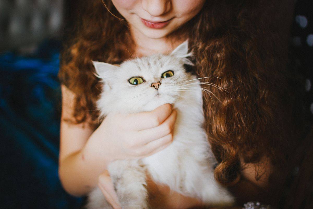 Perch Il Gatto Soffia Al Bambino Quali Sono Le Cause Dell atteggiamento