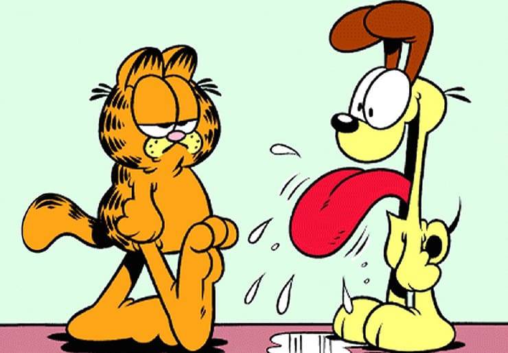 cane di Garfield