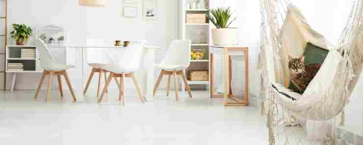 Amaca da soffitto per gatti