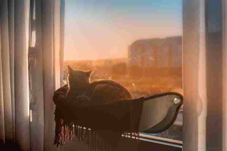 Amaca da finestra per gatti