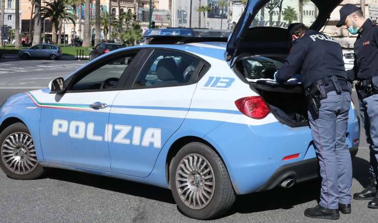 Cuccioli Pastore Tedesco Ritrovati Polizia 