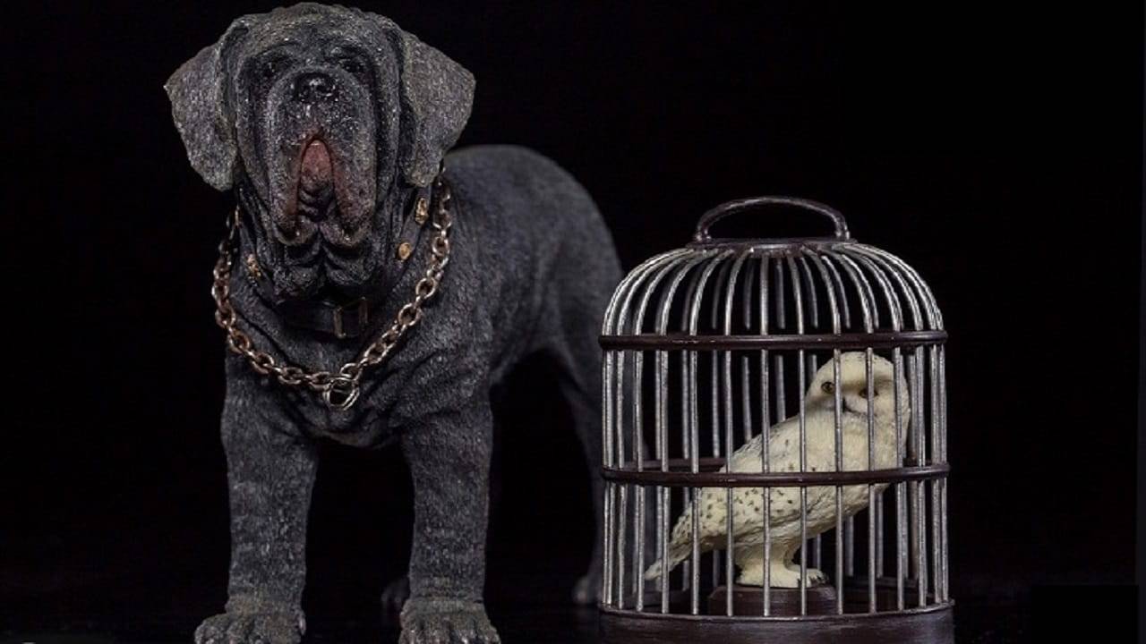 Come Si Chiama Il Cane Di Hagrid