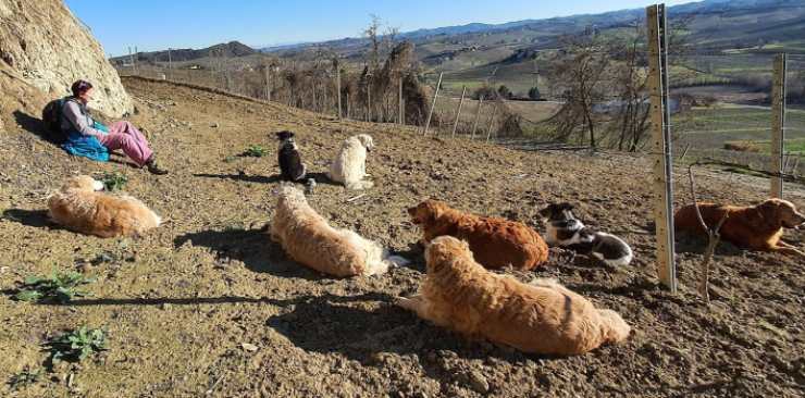 Fedra Cagnolona Nonna