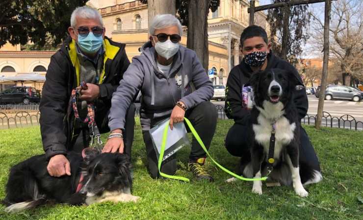 Cane Max Trova Famiglia 