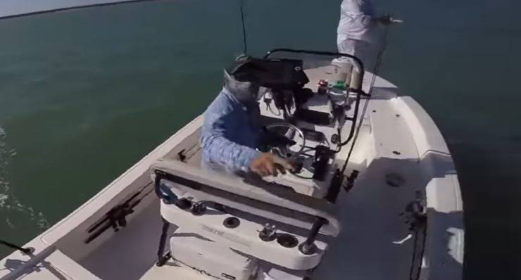 Salto Pesce Pescatore Video