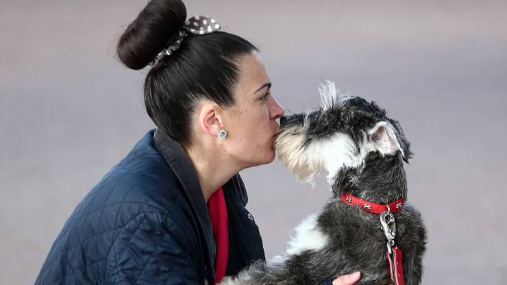 Progetto Livorno Rifugio Animali Donne Vittime Violenza