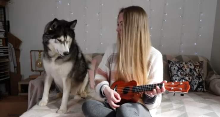 Husky e padrona (Foto video)