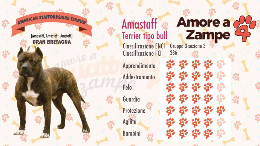 infografica cane AMASTAFF new