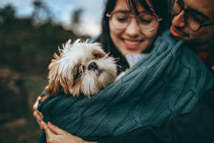 Razze di cani che preferiscono gli umani