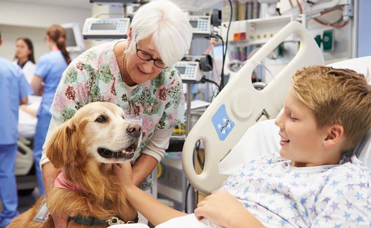 cane pet therapy