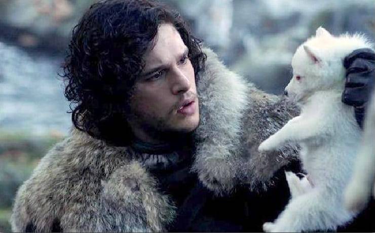 cane di Jon Snow