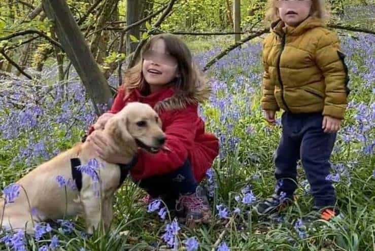 Il cane rapito e tornato misteriosamente a casa marchiato come il bestiame (Foto Facebook)