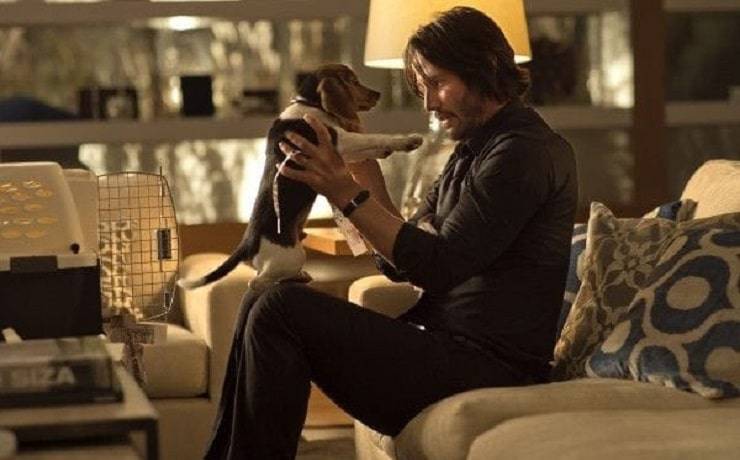 cani di John Wick