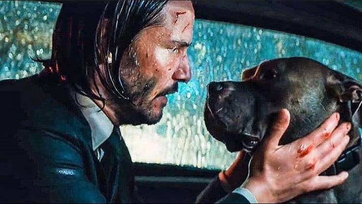 John Wick cani