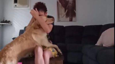 cane padrona autismo