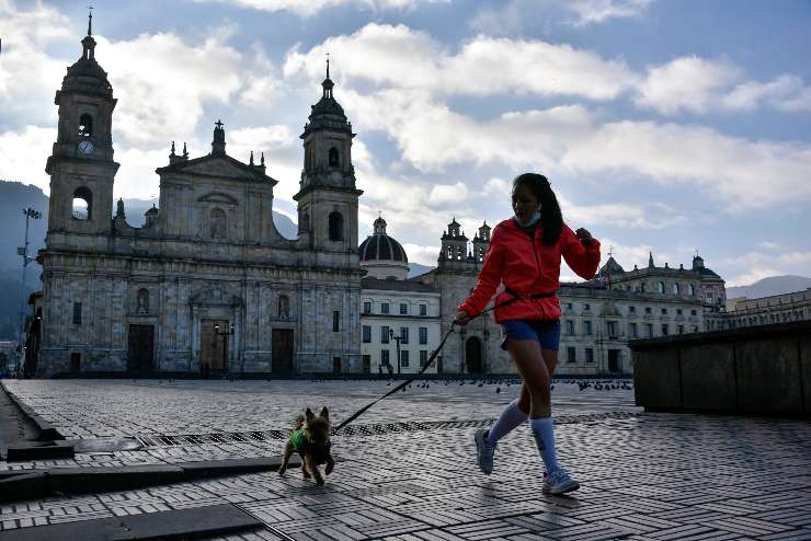 Sport con il cane