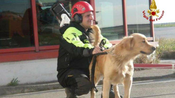 Morto Cane Lucky Vigili Del Fuoco