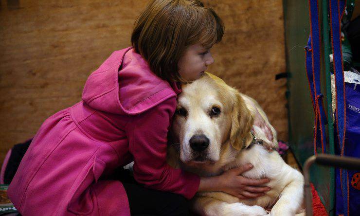 Paolo Crepet Cani Scuola