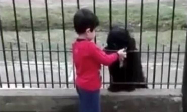 Bambino offre cibo al cane (Foto video) 