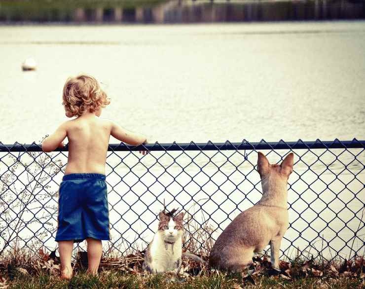 Bambino e animali domestici