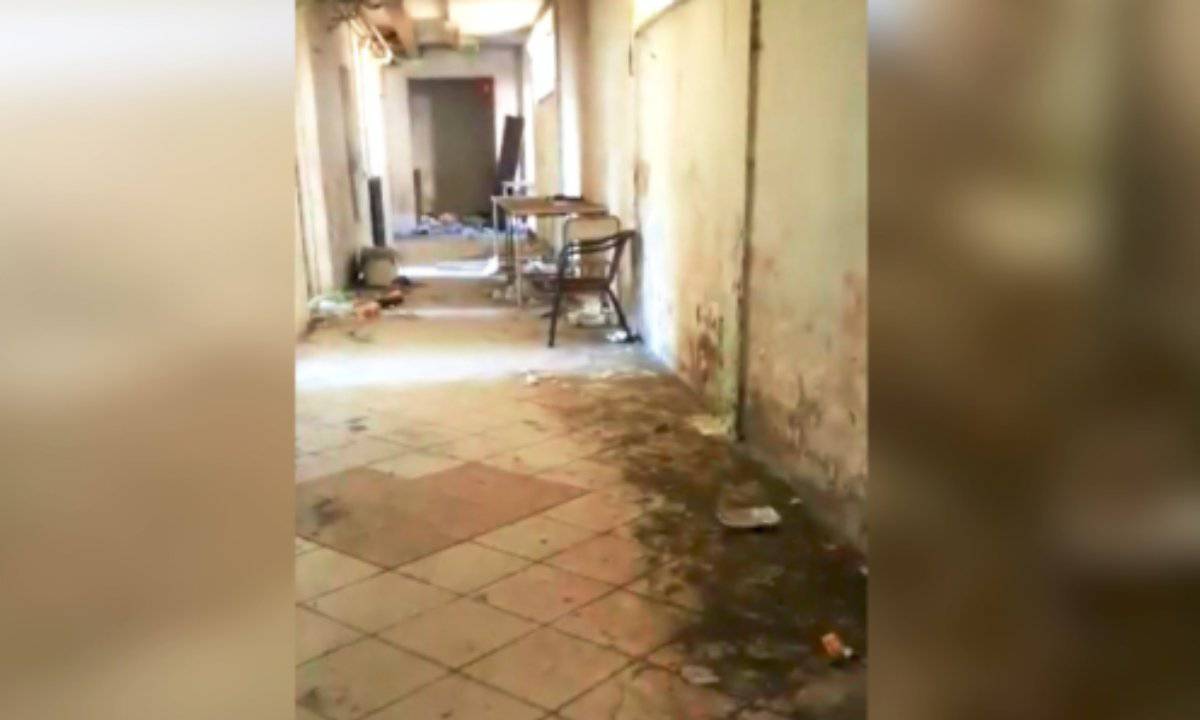 Tiburtino cane piange giorno e notte in un magazzino dismesso VIDEO