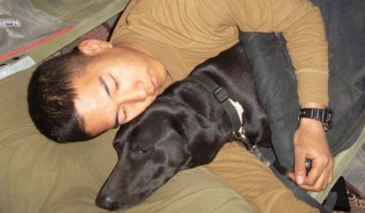 Un veterano ha adottato il cane che gli ha salvato la vita: un gesto nobile