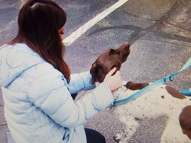 La giornalista che ha individuato il cane rapito e il suo rapitore(Foto Twitter)