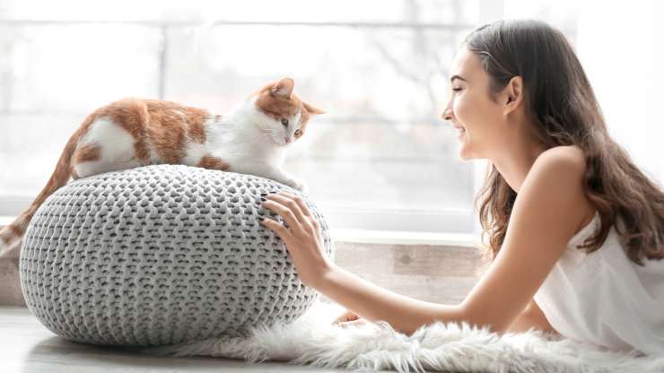 hablar telepáticamente con un gato