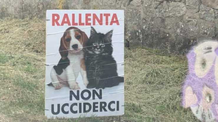 I cartelli sulla strada (Foto Facebook)