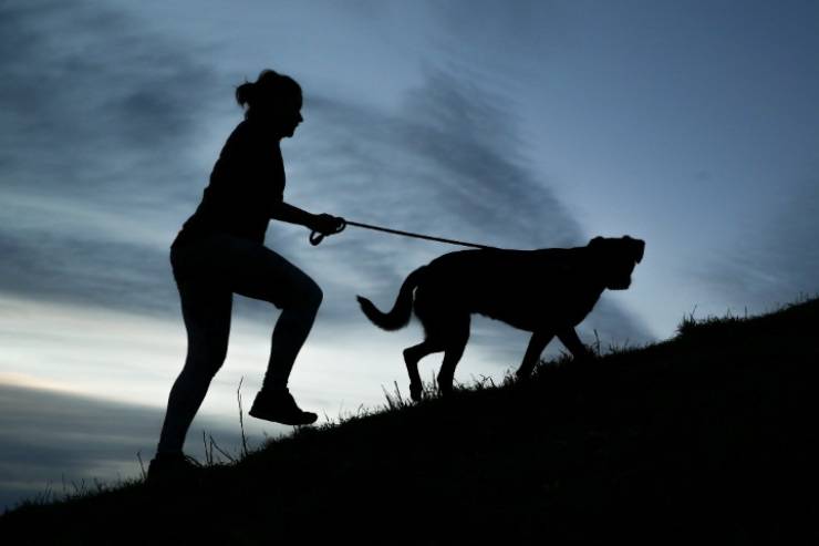 Cane e padrone